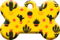 Cactus_08